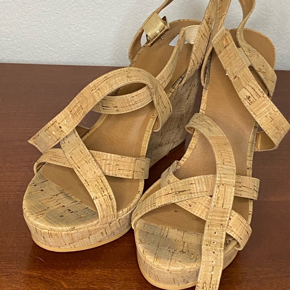 B.P. Cork Wedge